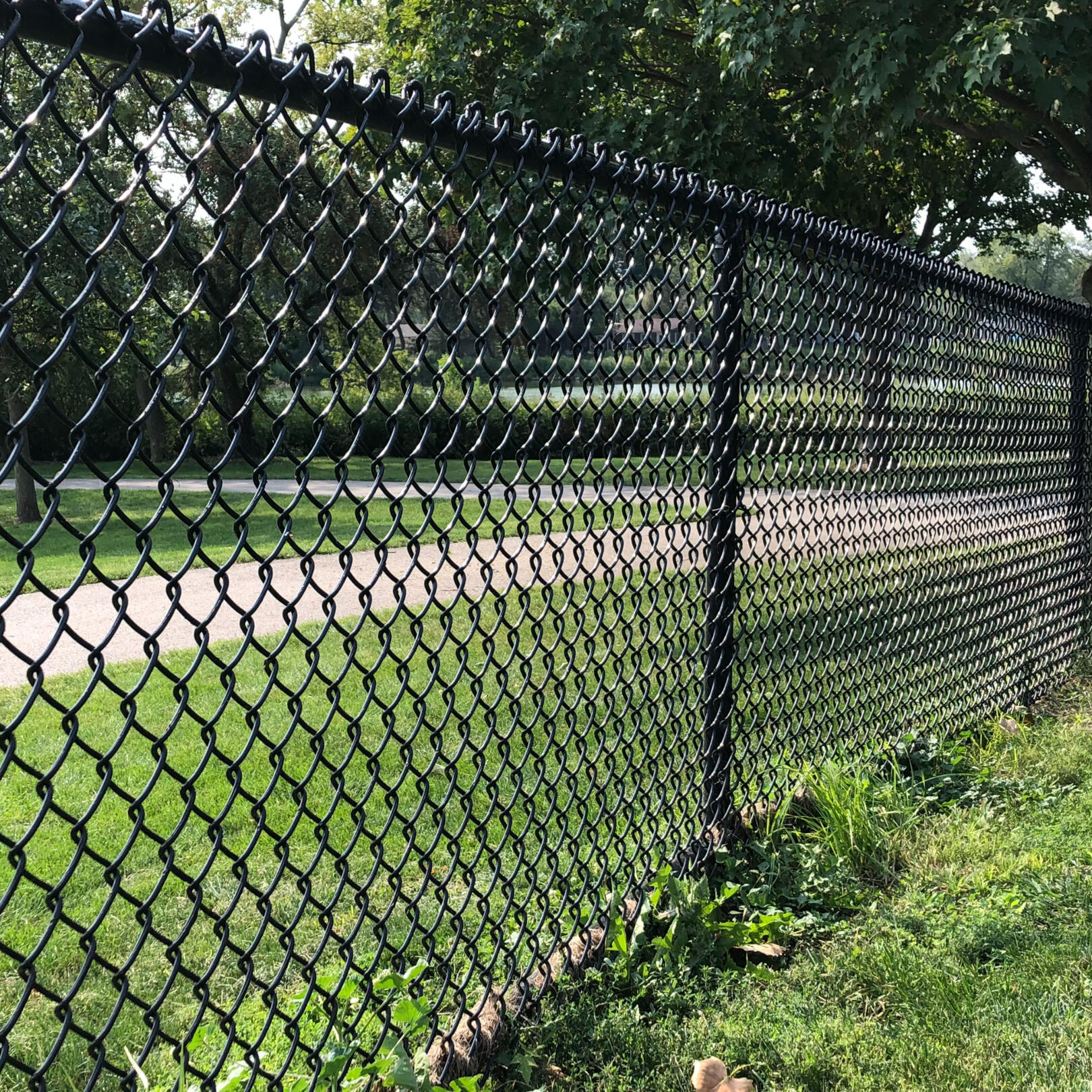 chain link fence Elk Grove Village fence company illinois